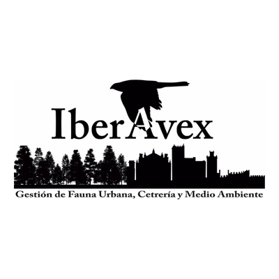 Iber Avex